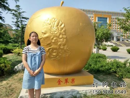 镀金金苹果雕塑厂家 广场摆件 现代不锈钢金苹果雕塑厂