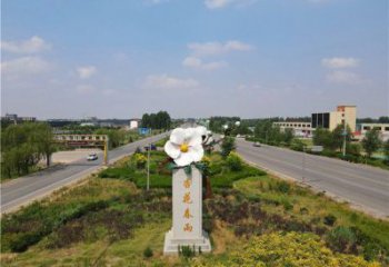 花朵景观雕塑，美陈建筑雕塑，不锈钢烤漆花朵雕塑厂家